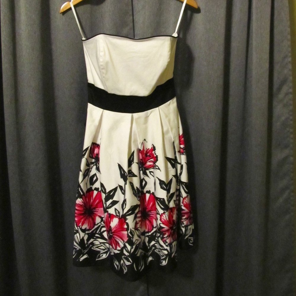 Alyn Paige New York Strapless Dress NWOT